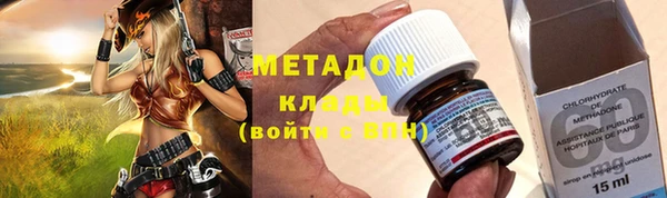 стаф Алзамай