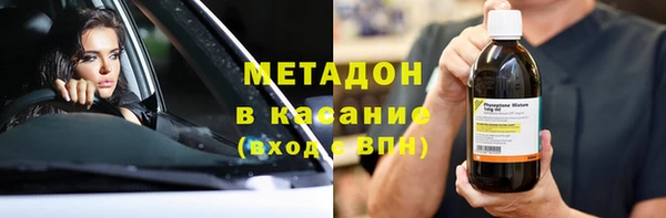стаф Алзамай