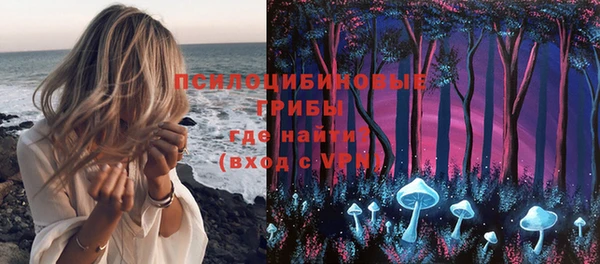 стаф Алзамай