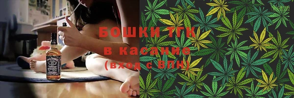 стаф Алзамай