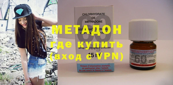 стаф Алзамай